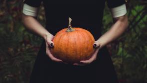 Halloween 2023: The most popular costume searches in Ireland last year