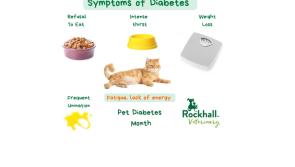 The Weekly Wag: winter is coming & November is pet diabetes awareness month!