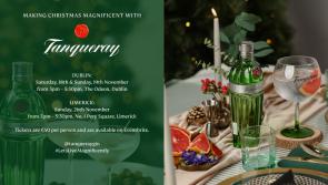 Unleash your inner mixologist this Christmas at Tanqueray Limerick's magnificent masterclass  
