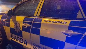 Gardaí make arrest after seizing machete, drugs and firearms during search