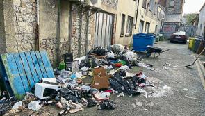 Disappointment for Limerick as results of final IBAL litter survey of 2023 are released
