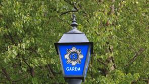 Further arrests following fatal assault at home close to Limerick/Tipperary border