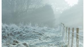 Met Éireann says animal welfare at risk as cold weather warning issued