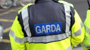 Roads Policing unit catch tractor driver without tax since 2021 while on patrol