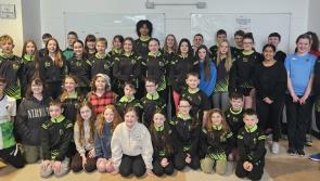 Novice swimming gala to take place in Shannon 
