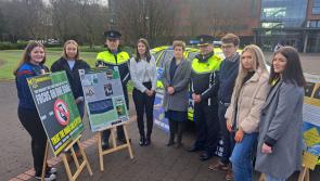 WATCH: 'Make sure you get home safe' - Gardaí launch road safety appeal after Carlow crash