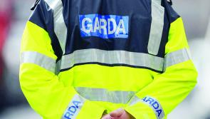 Gardaí appeal for information following discovery of body 