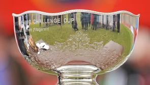 Two Limerick sides look to secure Munster Schools Senior Cup semi-final places