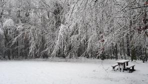PICTURES: The 10 most stunning winter scenes spotted across the country