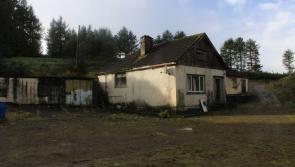 PICTURES: One of the cheapest 5-beds in Limerick for sale for €95,000 but needs work

