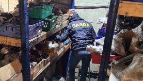 Cash and drugs seized during major operation targeting European crime gang