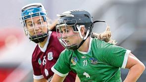 Limerick camogie team to face Kerry in Division 1 of Very National League named