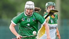 Limerick open camogie league with resounding wins over Kerry and Down