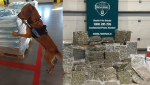 Over €1m cannabis haul sent from Spain seized by Irish Revenue officers