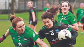Limerick Ladies football side for crunch Carlow league clash named