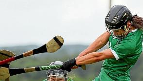 Limerick senior camogie side to face Down in League named