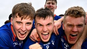 Mary Immaculate College to celebrate Fitzgibbon Cup success on Monday