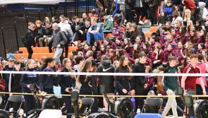 UL Arena to host Munster Schools Indoor rowing blitz