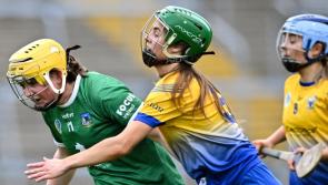 Limerick senior camogie side to face Dublin in league named