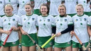 Limerick seniors suffer first camogie league defeat as Dublin prevail