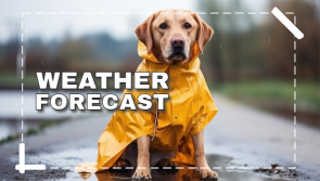 ALERT: Met &Eacute;ireann issues a brutal weather forecast for next week 