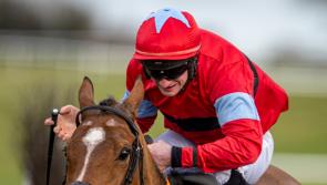 Knocklong success among highlights of big week for Limerick racing connections