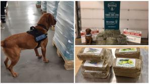 Illicit drugs worth €275k seized in Dublin from parcels sent from Spain and Portugal
