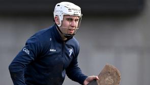 Limerick players named on Higher Education Hurling Team of the Year