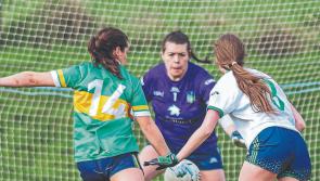 Limerick ladies set for league football semi-final