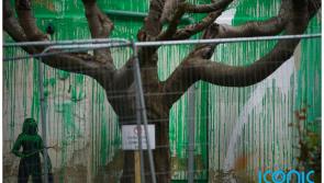 New mural by mysterious artist Banksy defaced 