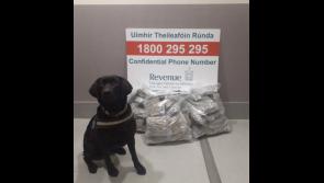 Woman arrested following huge €300,000 worth Cannabis seizure at Dublin Aiport