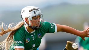 Limerick seniors host Wexford in Very camogie league 