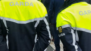 'An important milestone' - Fifteen Gardaí complete mental health teacher training