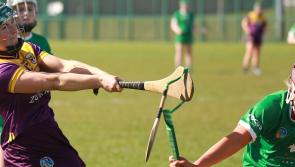 Limerick seniors beat top-of-the-table Wexford in Division 1B of Very Camogie League 