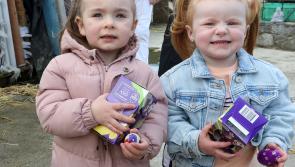 PICTURES: Easter Egg Hunt in Delmege Park, Moyross