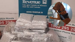 Illegal drugs worth almost €500k seized by Revenue with help of detector dog James