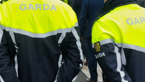 Man who suffered 'multiple lacerations' in Dublin park taken to hospital in serious condition