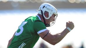 How the Limerick players rated in dramatic Munster SHC victory over Clare