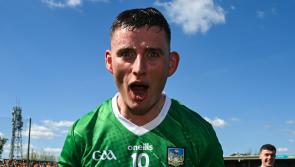 Gearóid Hegarty says Limerick 'didn't panic' in turning fortunes round against Clare in Munster SHC