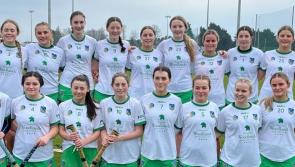Limerick minor camogie suffer semi-final defeat to Dublin in All Ireland Shield 