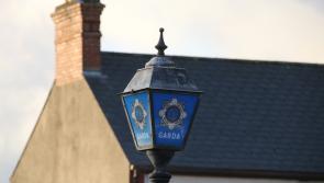 Limerick gardaí investigating car crime spree across three counties 