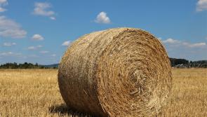 Gardai investigate theft of bales of hay from farm yard close to Clare village