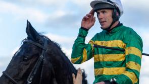 Limerick racing enthusiasts enjoy bumper spell on track