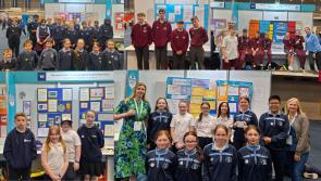 WATCH: Limerick schools showcase their scientific creations at ESB Science Blast in UL