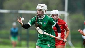 Limerick's junior camogie side targets further success in All-Ireland Championship