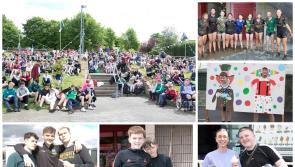 PICTURES: Limerick school hosts end of year sports day