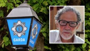 Gardaí and family 'concerned' for welfare of missing 69-year-old  man as urgent appeal launched
