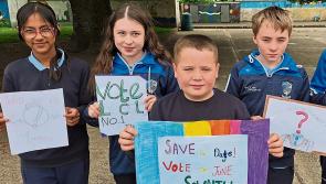 Elections 2024: 11 candidates look to make their mark in Adare-Rathkeale