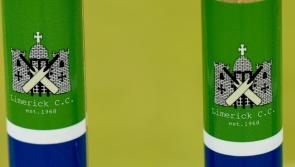 Limerick Cricket Club overcomes Nenagh in T20 fixture