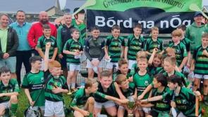 Granagh Ballingarry GAA to run Virtual Voyage  fundraiser from Ballingarry to Boston